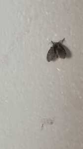 20210824 1747561